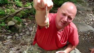 Primitive fishing kit @elifatsa