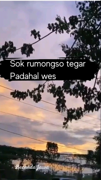 harus tegar #shorts #shortsvideo #shortsquotes