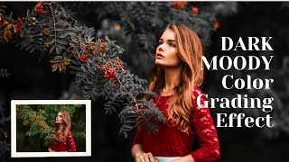 Color Grading Photoshop Camera Raw Presets | Color Grading Photoshop | Shorts screenshot 4