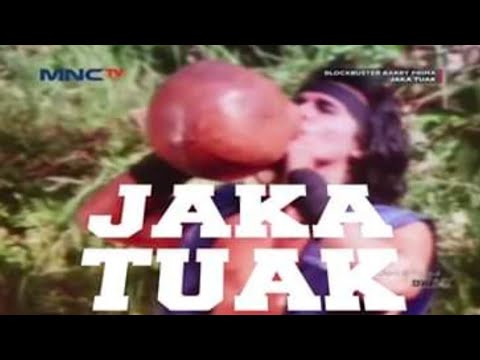 Video: Beri batu - delima utara