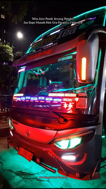 Senggol Dong!!!! Story Wa Bus Malam Full Kelap Kelip Lampu Strobo #shorts #fyp #viral