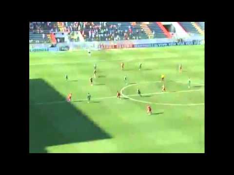 Gol Dinei Palmeiras x Fluminense rodada 37 Brasileiro 2010