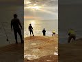 #fishing #sydney #australia #youtubeshorts #shortvideos #viralvideos #india