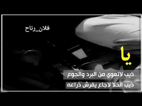 يا ذيب لا تعوي من البرد والجوع ذيب الخلا لاجاع يفرش ذراعه