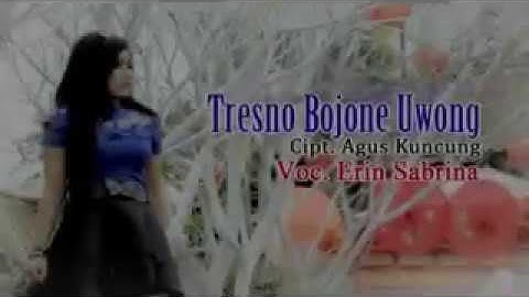 TRESNO BOJONE UWONG - ERIN SABRINA - love someone