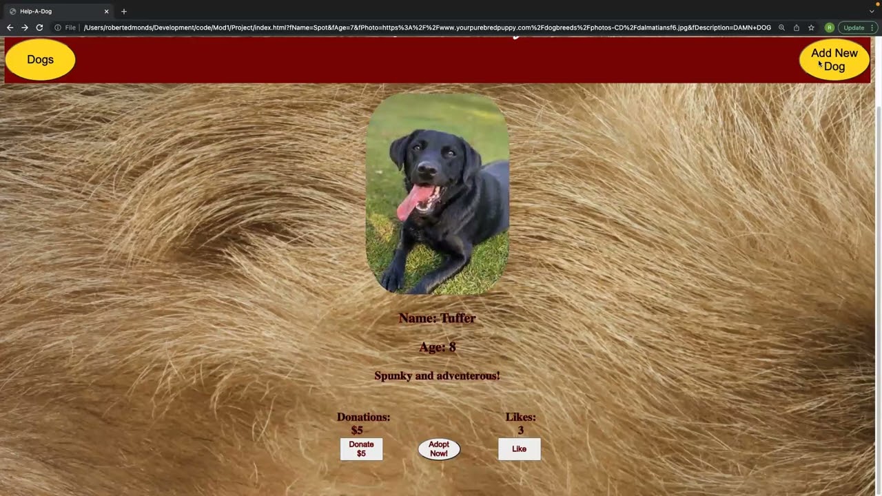 Frontend Software Project - Robert Edmonds