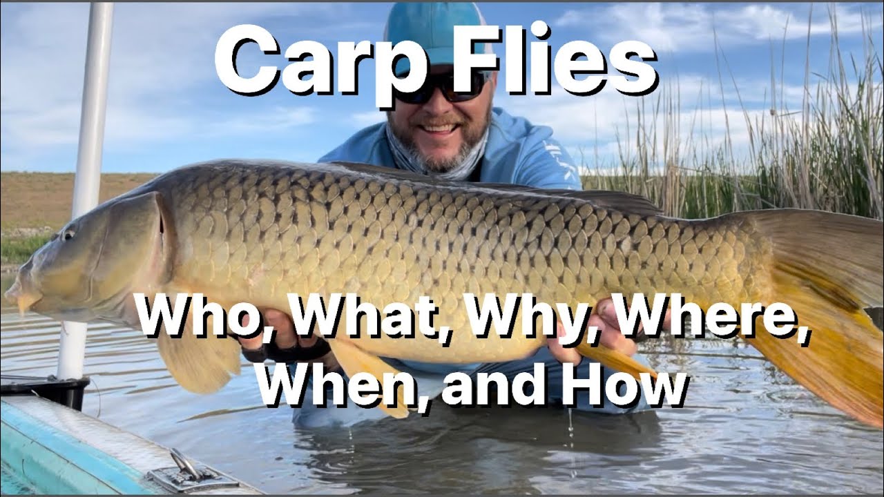 Carp Flies - How to decide what flies to use for Carp. 
