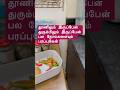 எங்கும் கரப்பான்! எதிலும் கரப்பான் 🫣 Jaya pest control service in Chennai