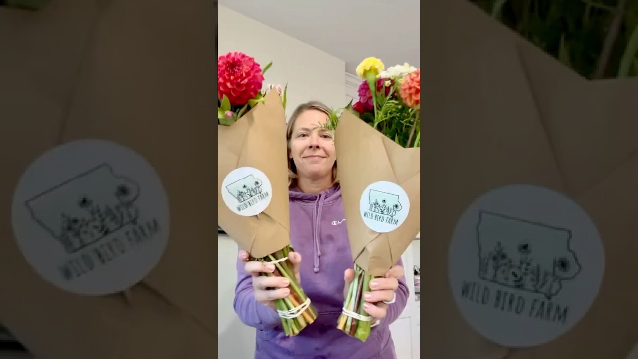 Day 5 💐 10 Days of Late Season Bouquets 💕 Zone5👩🌾 #cutflowers #flowerfarm #flowerbouqet #garden