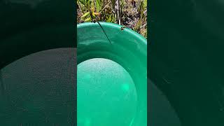 Dowsing Rods Lead Us To D