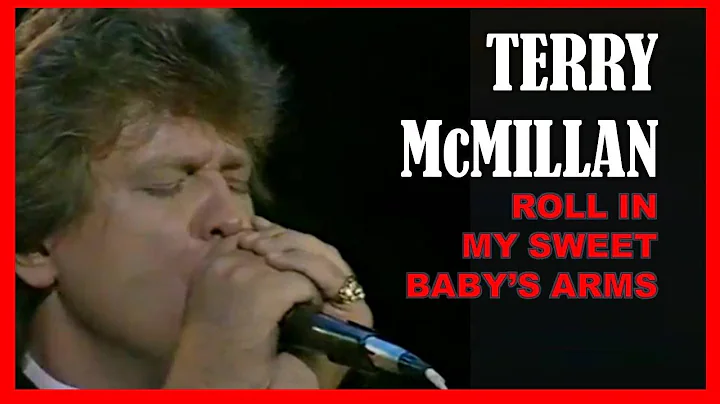 TERRY McMILLAN - Roll In My Sweet Baby's Arms