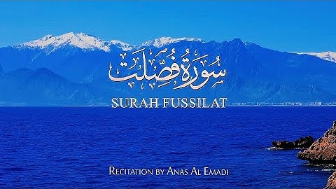 سورة فصّلت مترجمة باللغة الإنجليزية | Surah Fussilat English Translation