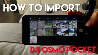 How to Import Photos & Videos from DJI Osmo Pocket to an iPhone or iPad iOS 13 screenshot 5