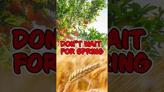 Fruit Tree Planting Timing: Optimal Seasonal Windows for Your Region