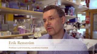 Human Tissue Lab: Helps the researchers find the mechanisms of the insulinproducing betacells
