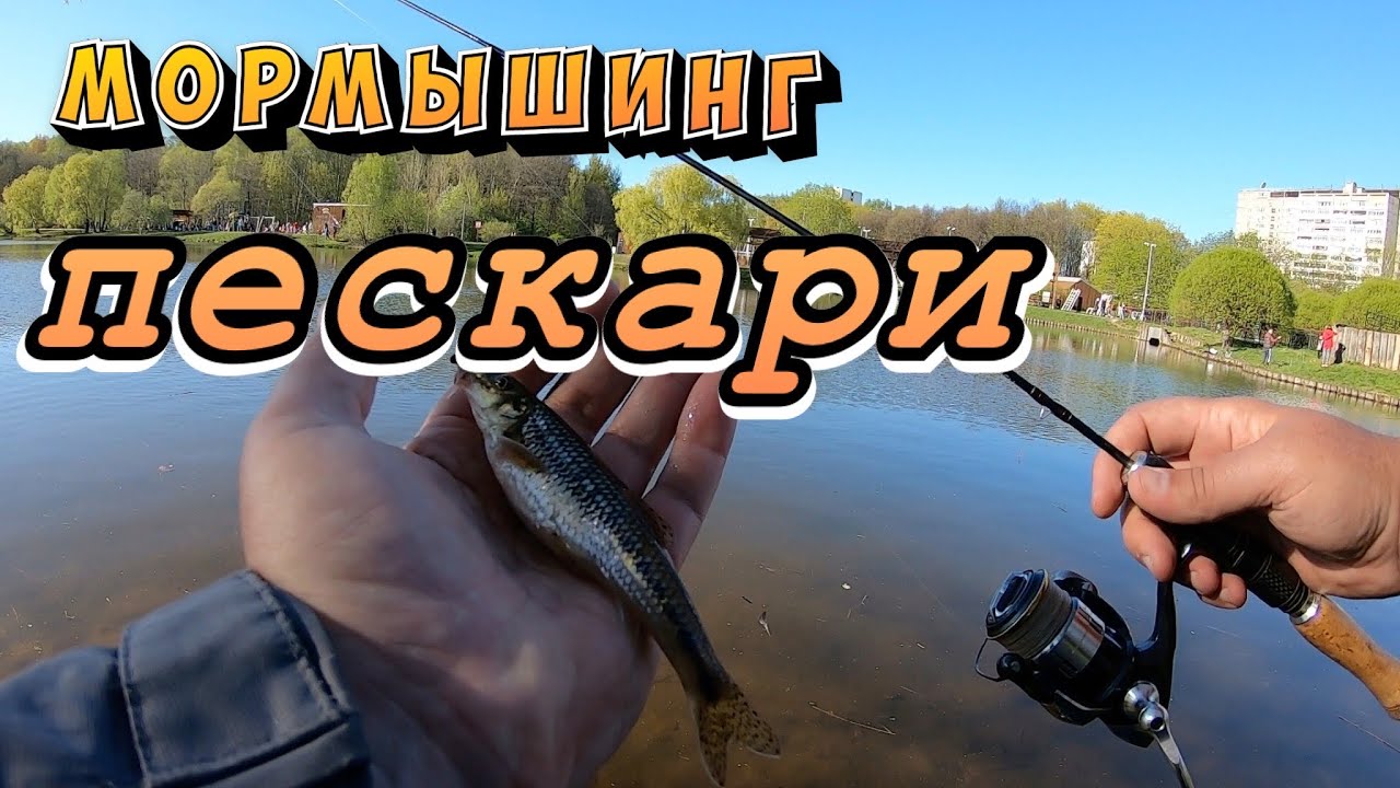 Спиннинг кайда форестер