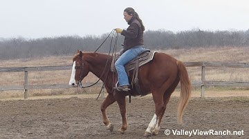 Bayou Pepto - riding in outdoor arena #3 - ValleyViewRanch.net