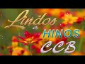 HINOS CCB 2021 🌻 AS MELHORES HINOS CCB MAIS TOCADAS   HINOS 017 007 143 387 058 160 454 023 028 157
