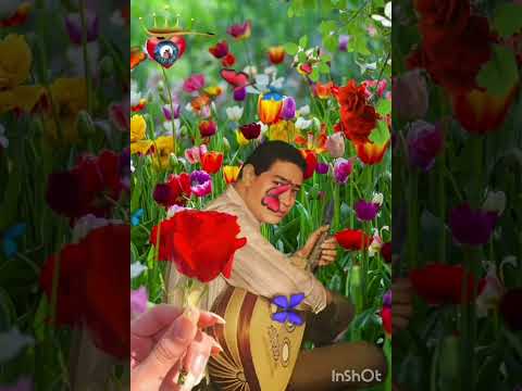 محرم فؤاد زي ما اكون عطشان وشربت