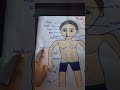 HUMAN BODY— External organs &amp;Internal organs .