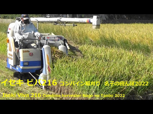 イセキ ビバ216 コンバイン 稲刈り 名子の田んぼ2022Iseki Viva 216