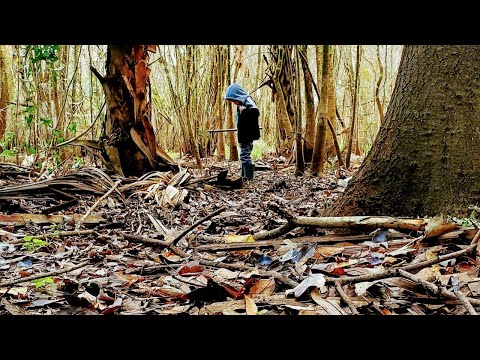 Return to Love -  A Mangrove School of Sarasota community offering, for all beings, everywhere!