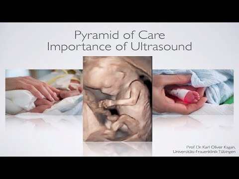 International Workshop on Prenatal Screening (PNS) 2017: Pyramid of Care – Importance of Ultrasound