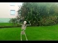 Dancing Skeleton in my garden