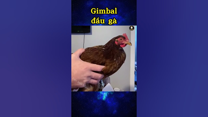 Gimbal đầu gà |Bạn biết không