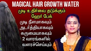 Get Thicker and Longer Hair Growth in 15 days | Stop Hair Fall | Clove Hair Care in Tamil