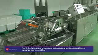 Complete RTE salad vegetable processing solution designed for modern fresh-cut food production.