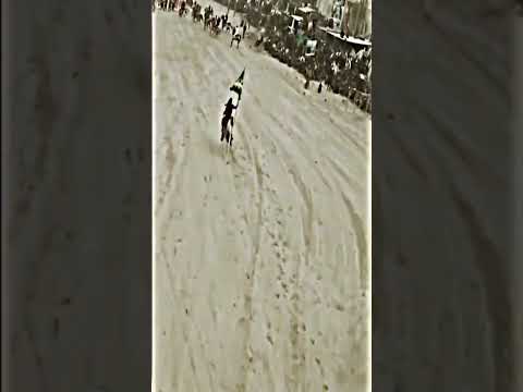 ترباته ڪفو ربته بدويه أصيله