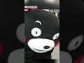 Kumamon Swamped By Wave Of New Year S LoveーNHK WORLD JAPAN NEWS Shorts