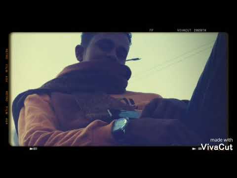 احلي هابي بلوك العصفور