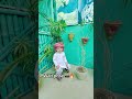 Photography 📸🔥#shorts #shortvideo #shortsvideo #trending #trendingshorts #viralvideo