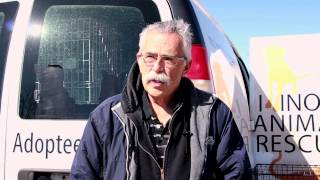 Illinois Animal Rescue - Transport Day
