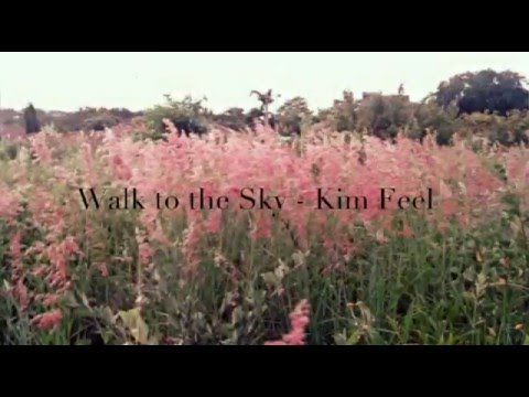 Kim Feel - Walk to the Sky Lyrics (My Lawyer, Mr.Jo OST)