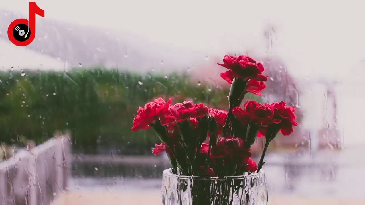 Watch Romantic Music for Relaxing, Study, Spa, Sleeping or Meditation on YouTube Watch Romantic Music for Relaxing, Study, Spa, Sleeping or Meditation on YouTube