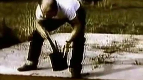 Jackson Pollock Action Painting