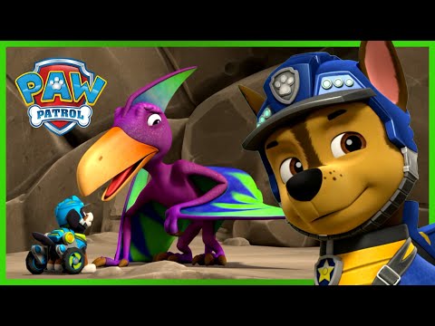 PAW PATROL - PUPS RESCUE ALL THE DINOSAURS!
