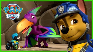 PAW PATROL - PUPS RESCUE ALL THE DINOSAURS!