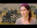 The Story of Gorongosa | Explorers in the Field