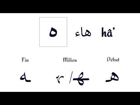 Leçon D Arabe 22 La Lettre Hâ ه Et Le Tâ MarboûTah ة