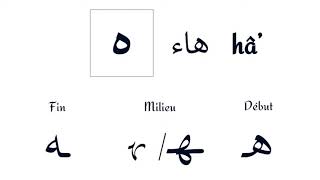 Arabic Lesson 22: The letter Hā’ ( ه ) and the Tā’ marbūṭah ( ة ) screenshot 3