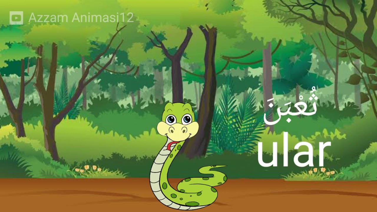 Mengenal Nama nama hewan  dalam bahasa  arab  YouTube