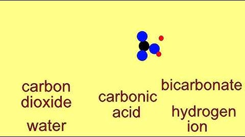 BICARBONATE BUFFER SYSTEM