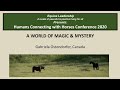 Humans Connecting with Horses - A World of Magic & Mystery