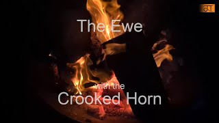 Seaboard Sundays: 25 - The Ewe with the Crooked Horn