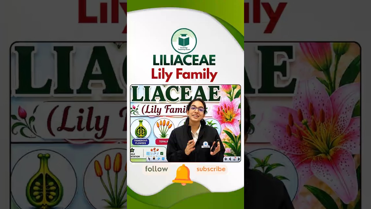 Liliaceae (Lily Family) 🌿 Easy Trick to Remember - YouTube