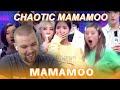 MAMAMOO(마마무) "Chaotic Mamamoo Moments I Can't Forget" Reaction! | THEY'RE SO CHAOTIC I FKN LOVE IT 😭